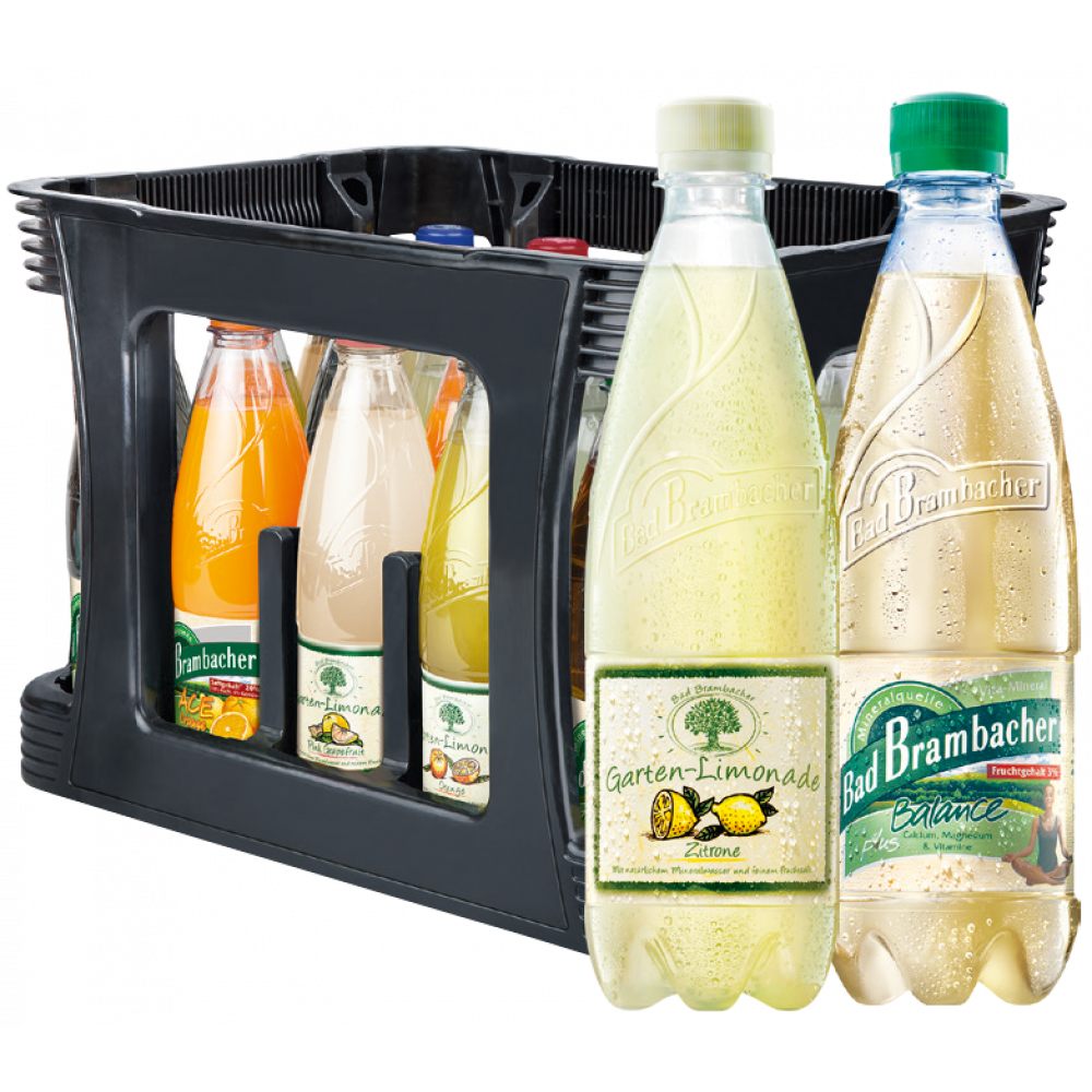 Bad Brambacher Gartenlimonade / Vita Mineral