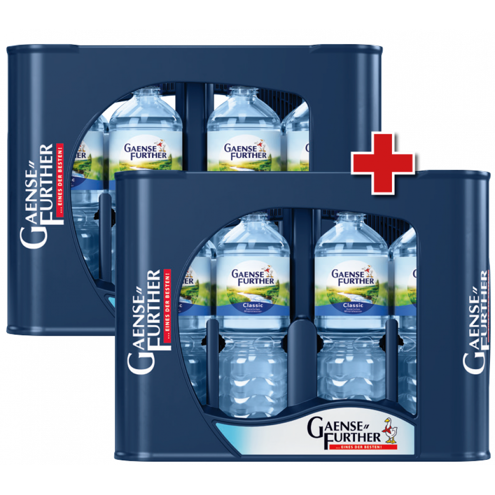 Gaensefurther Schloss Quelle Mineralwasser - 2 Kästen