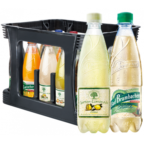 Bad Brambacher Gartenlimonade / Vita Mineral