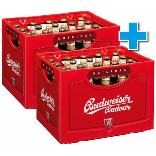 Budweiser - 2 Kästen