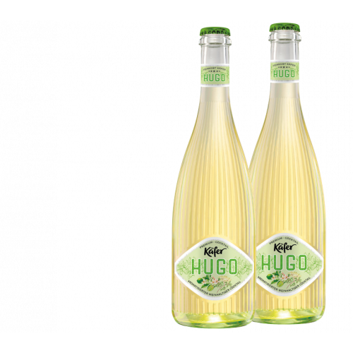 Käfer Hugo